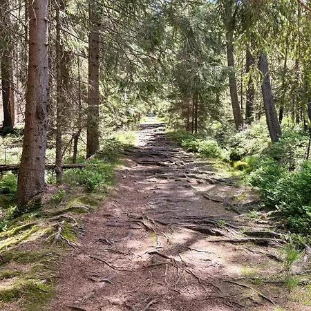 Ferovka 3*